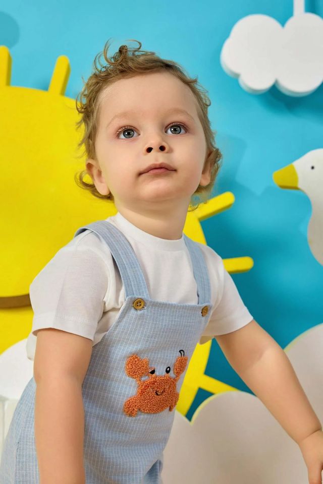 Minycenter Erkek Bebek Salopet Set 24E002 Karışık Renkli