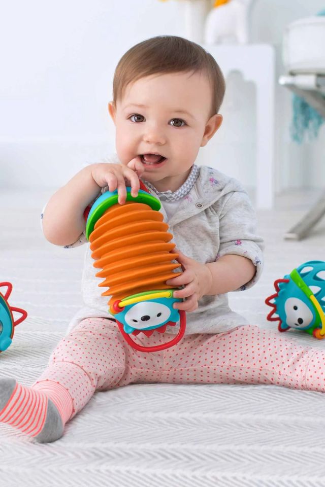 Skip Hop Explore & More Oyuncak Akordiyon Kirpi 6+ Ay