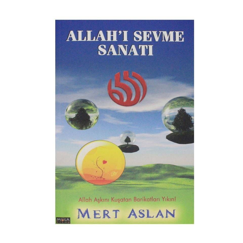 Allah'ı Sevme Sanatı