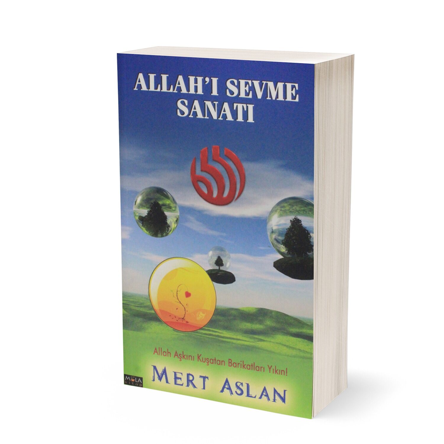 Allah'ı Sevme Sanatı