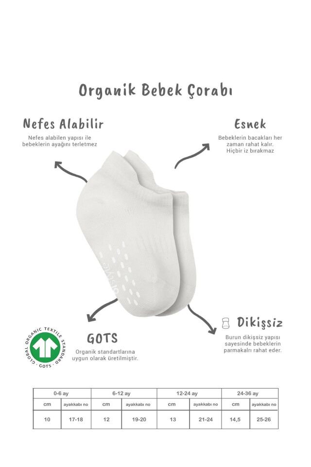 Bistyle 2'Li Sneakers Kaymaz Basic Penye Çorap 20103 Ekru Ekru