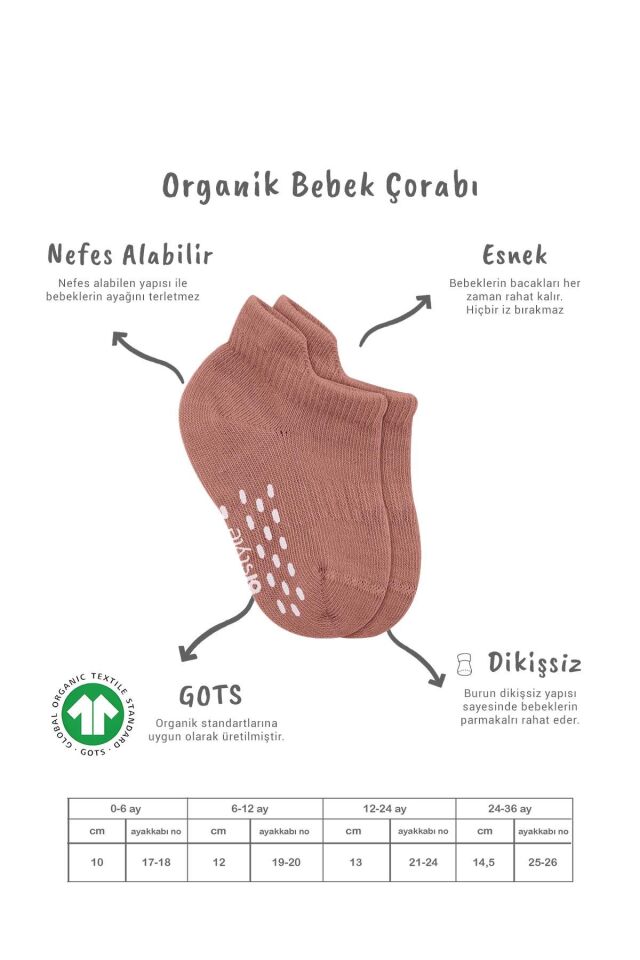 Bistyle 2'Li Sneakers Kaymaz Colours Penye Çorap 20104 Ekru Pudra