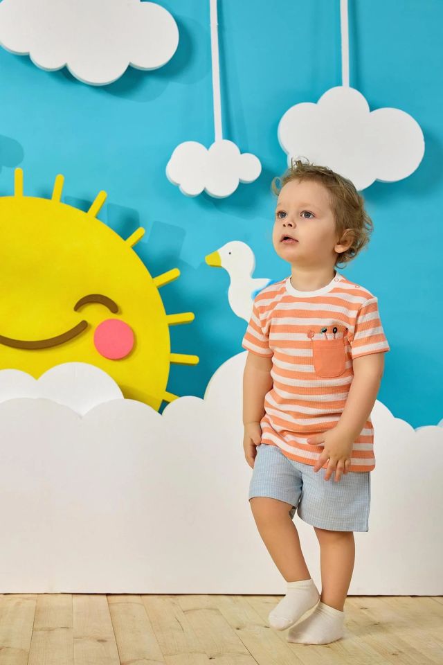 Minycenter Erkek Bebek Tshirt 24E007 Karışık Renkli