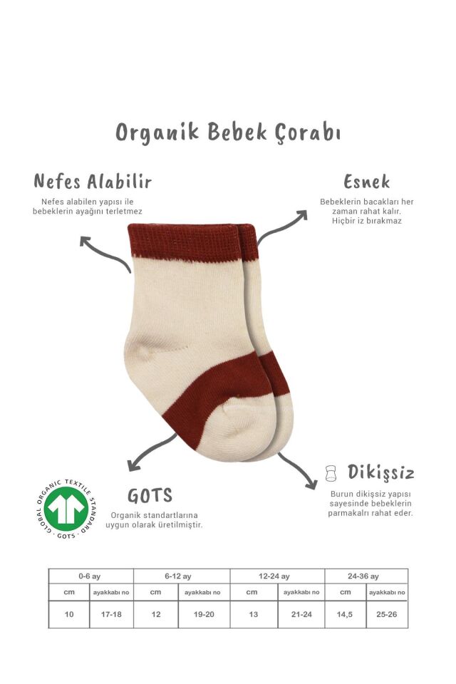 Bistyle 3'Lü Penye Rainbow Soket Çorap BS10113 Kiremit