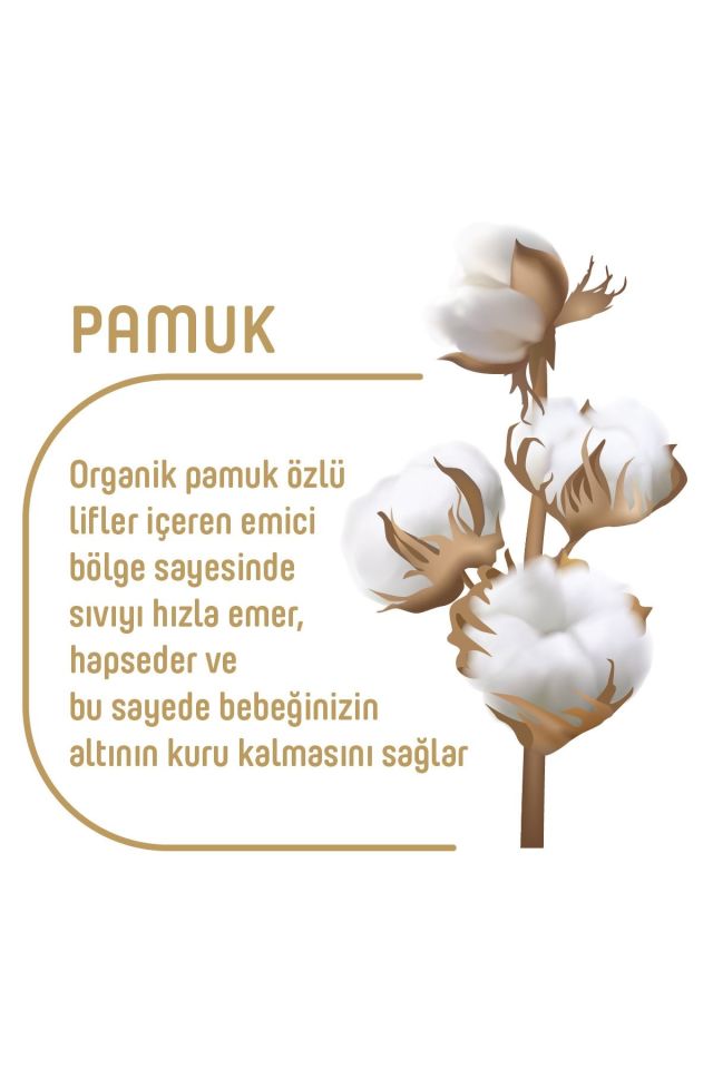 Sleepy Pure Baby Organik Bebek Bezi 2li Jumbo 2 Beden 3-6 Kg 68 Adet