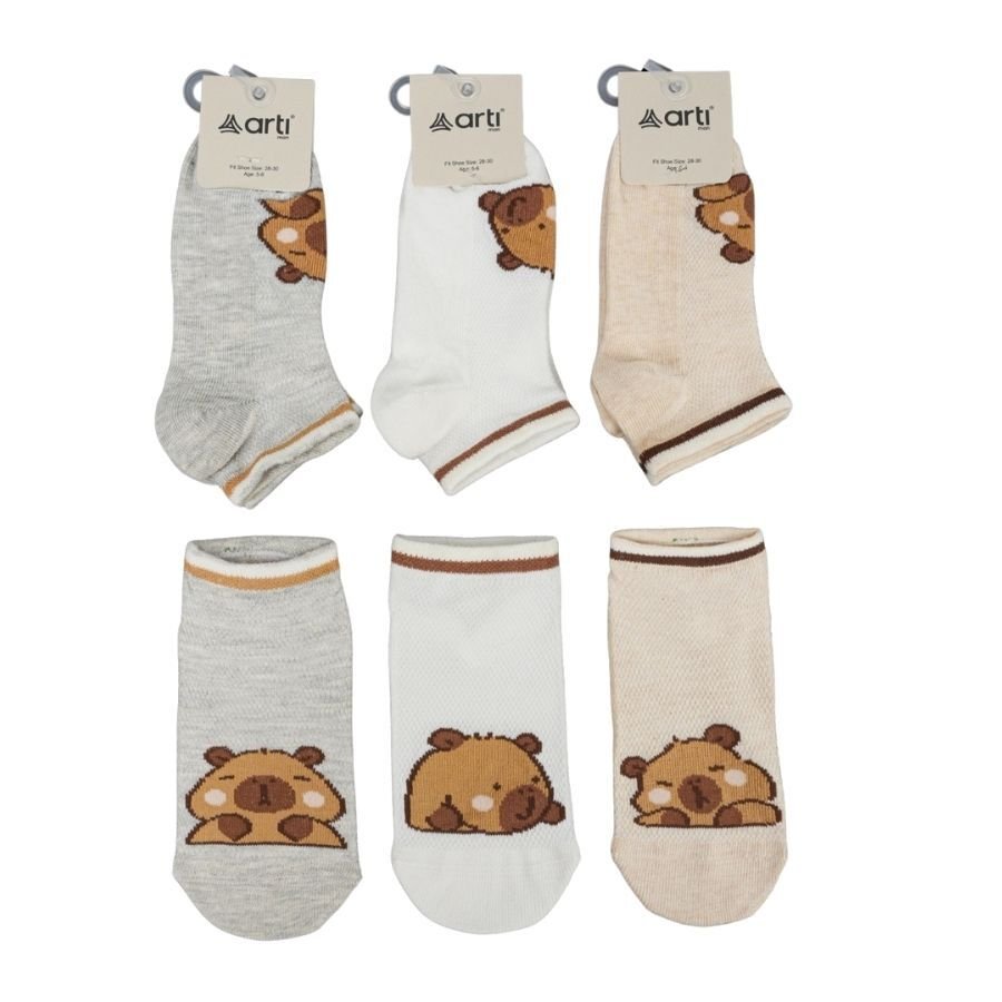 Katamino Capy Abs'li Erkek Patik Çorap K20318 Asorti